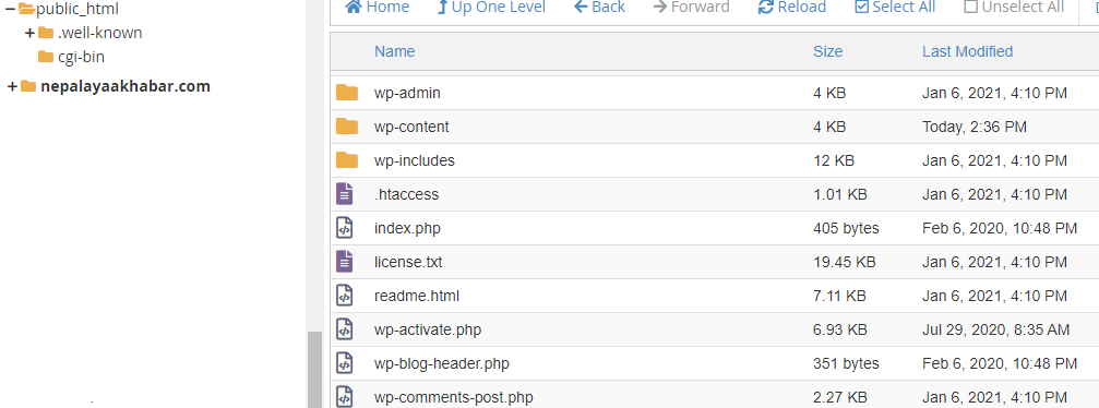 list your website files in cpanel